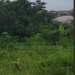 Land Selling at River View Estate