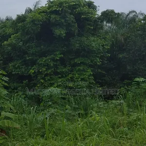 Prime Land Selling at Ikeja