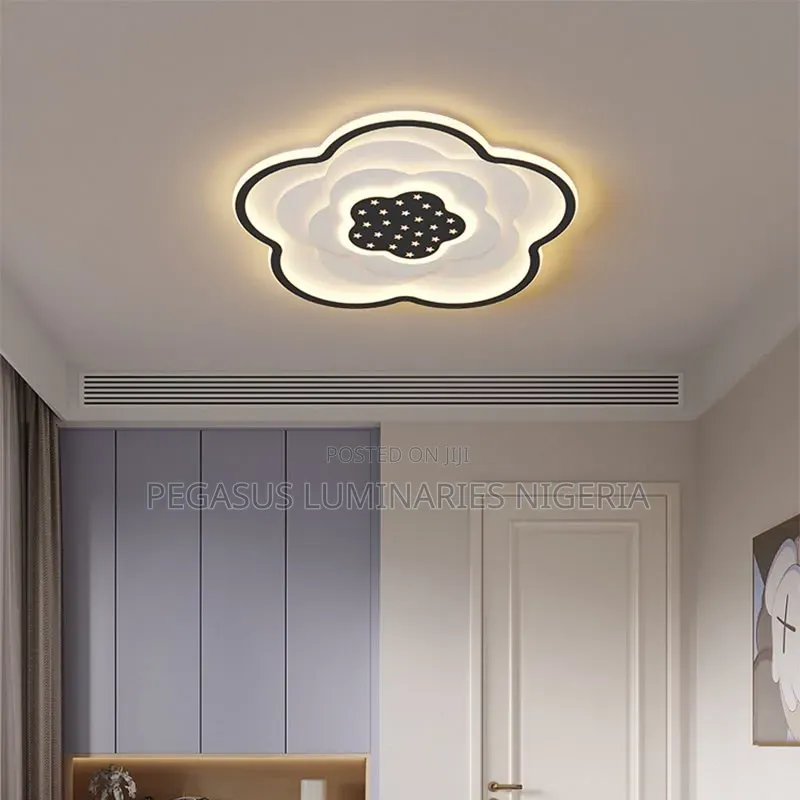 Ceiling Lights