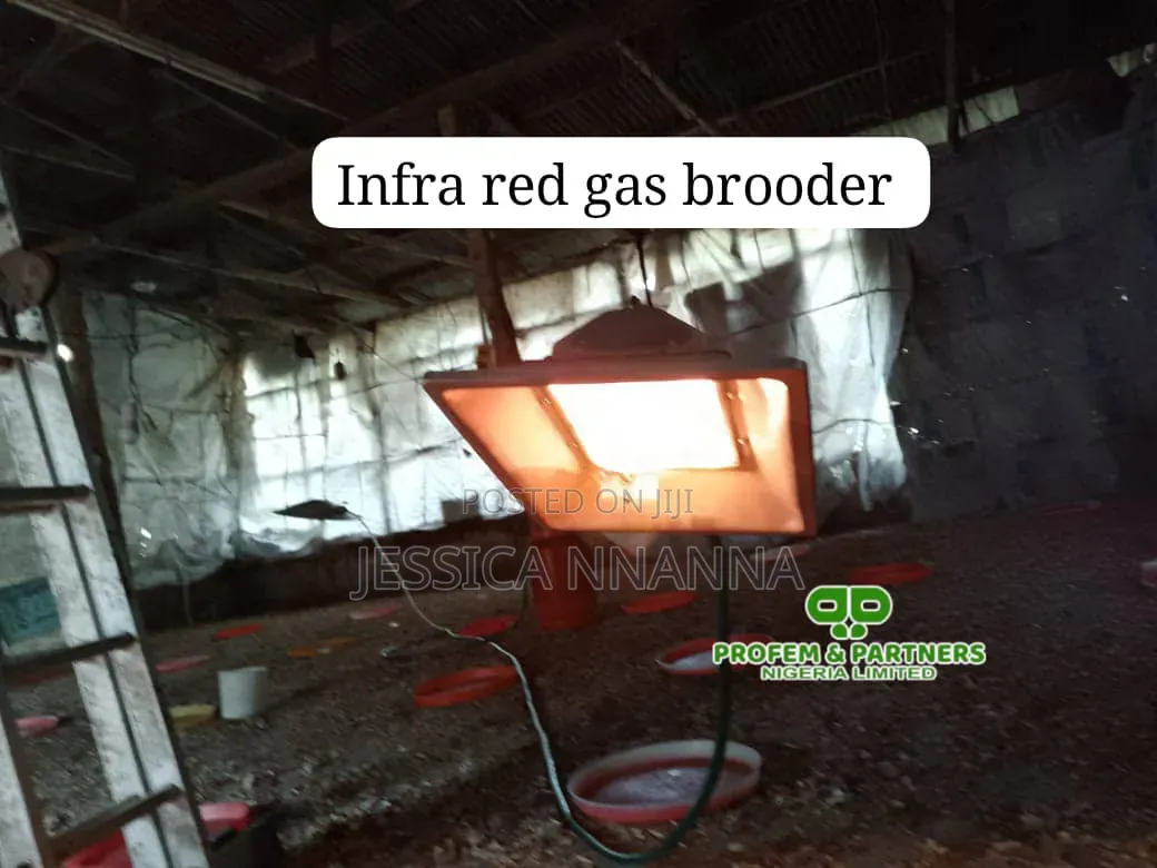 1000 Birds Capacity Infrared Chinese Brooder