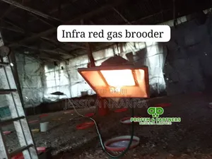 1000 Birds Capacity Infrared Chinese Brooder
