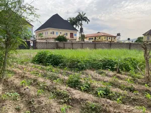 Rroadside Land for Sale
