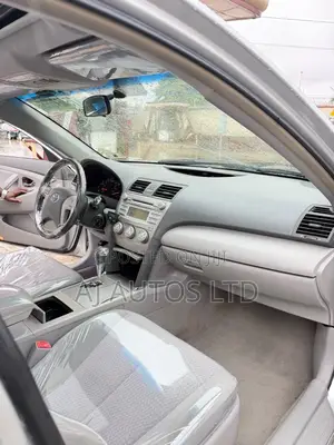 Toyota Camry 2010 Silver