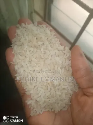 Rice Milk Ebonyi State Is the Highest Quality Rice