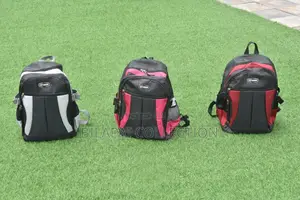 Backpack or School Bag