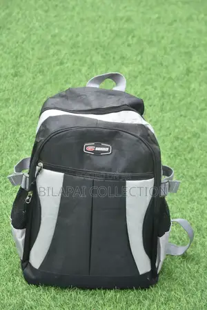 Backpack or School Bag