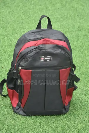 Backpack or School Bag