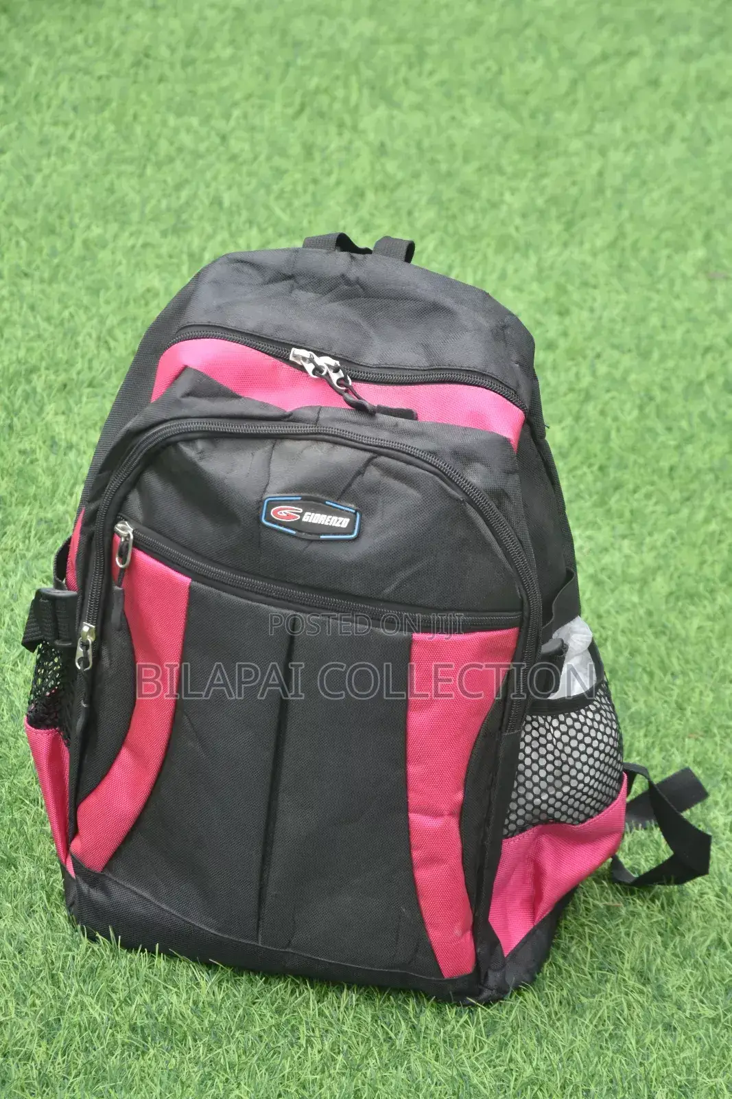 Backpack or School Bag