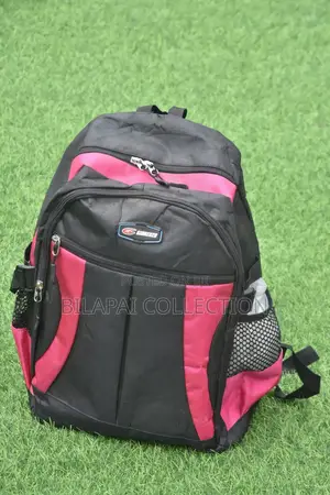 Backpack or School Bag