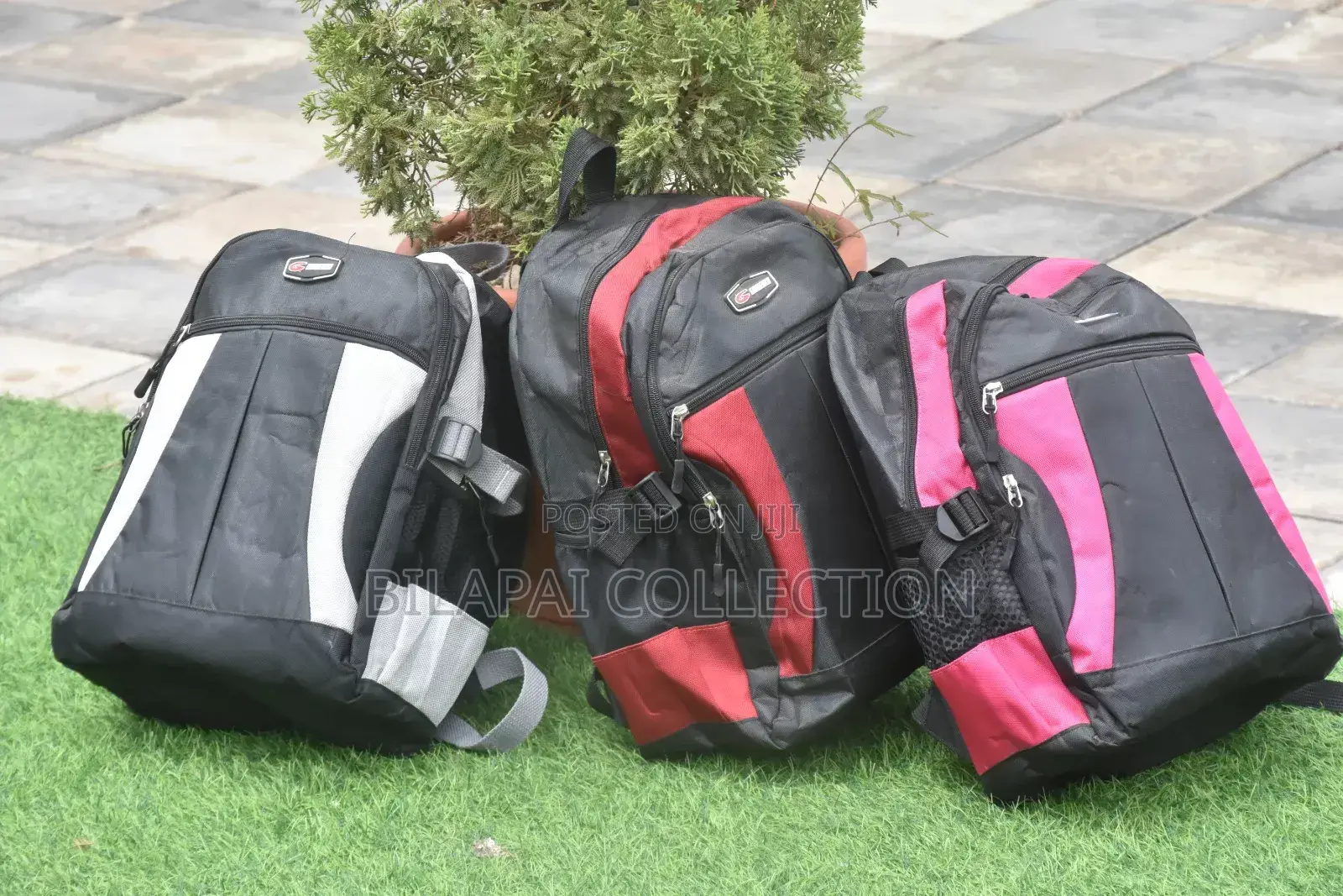 Backpack or School Bag