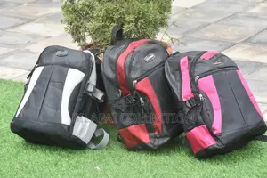 Backpack or School Bag