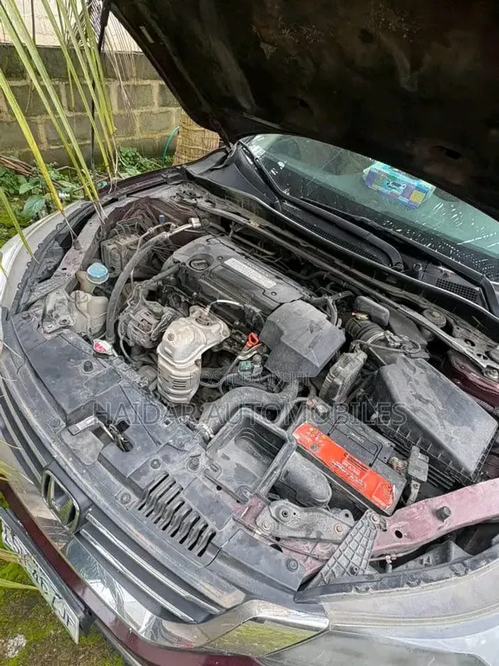 Honda Accord 2014 Maroon