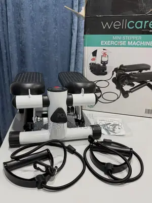 Mini Stepper Exercise Machine