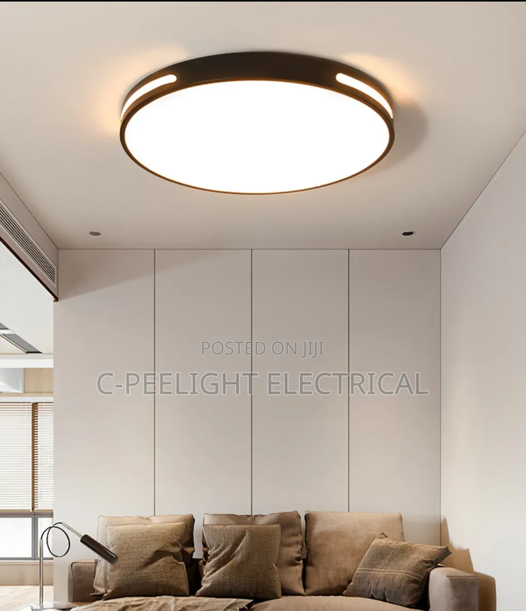 Led Mounted Ceiling Light