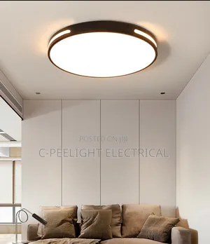 Led Mounted Ceiling Light