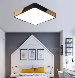 Led Mounted Ceiling Light