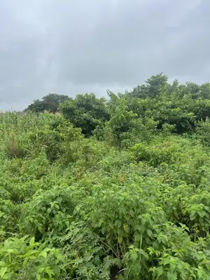 500 Acres of Land Available for Sale at Abeokuta Ogun State