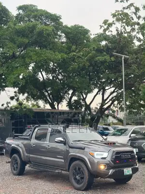 Toyota Tacoma 2006 Gray