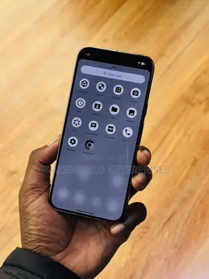 Google Pixel 10 Pro XL 256 GB Gray
