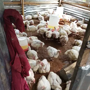 Rising Moon Farm