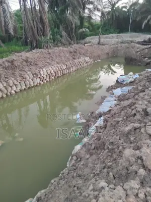 Catfish Value Chain