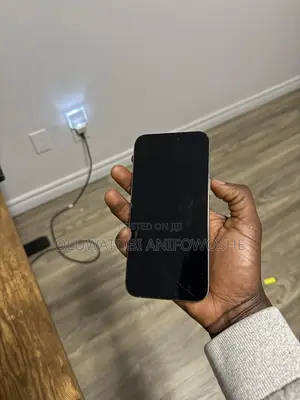 Apple iPhone 15 Pro Max 256 GB Gray
