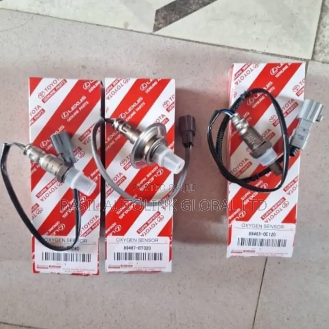 Balloon/Oxygen Sensor