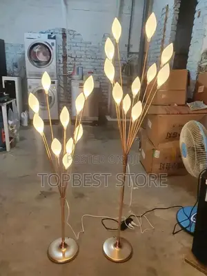 Luxury Homes Standing Lamp