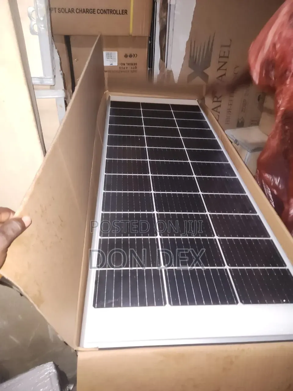 Felicity Solar Street Light