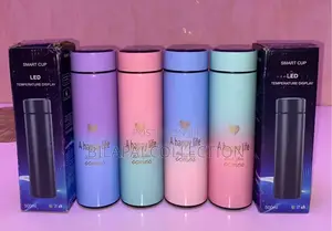 500ml Stainless Steel Bottle With Led Temperature Display