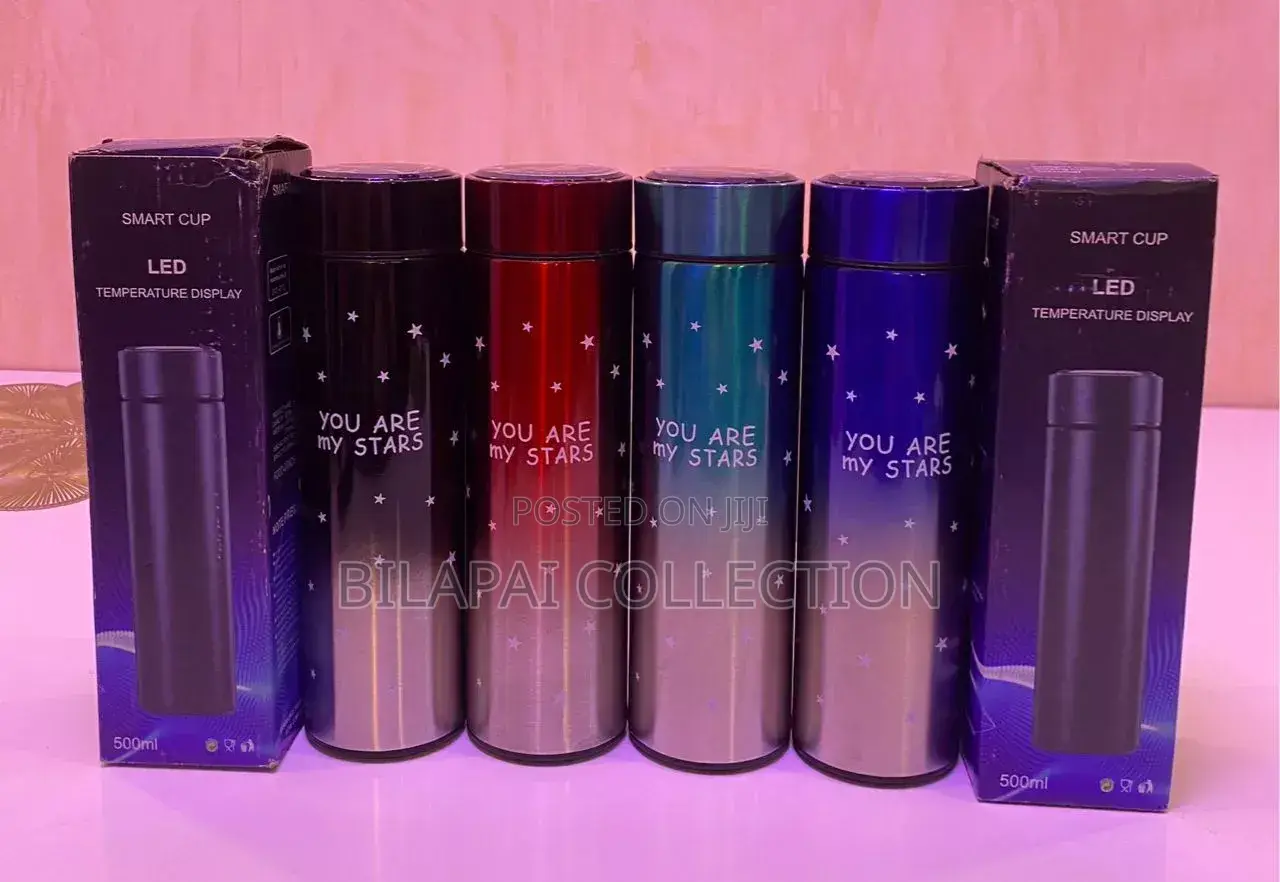 500ml Stainless Steel Bottle With Led Temperature Display