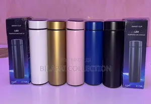 500ml Stainless Steel Bottle With Led Temperature Display