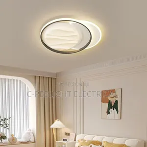 Luxury Ceiling Light