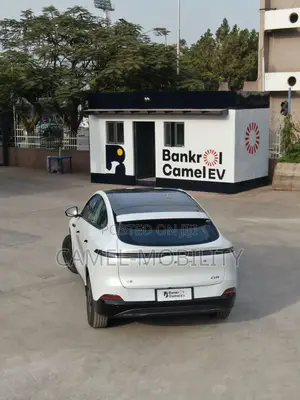 New XPeng G6 EV AWD 2024 White