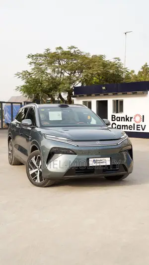 New BYD Tang EV 2025 Gray