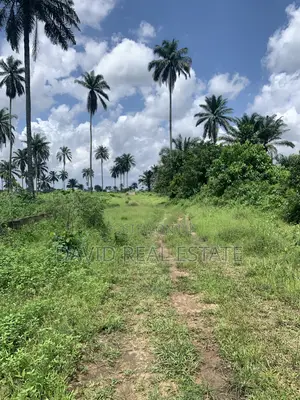 Land for Sale in Igwuruta, Ph