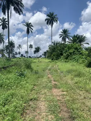 Land for Sale in Igwuruta, Ph