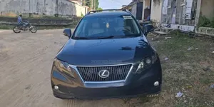 Lexus RX 2010 Gray