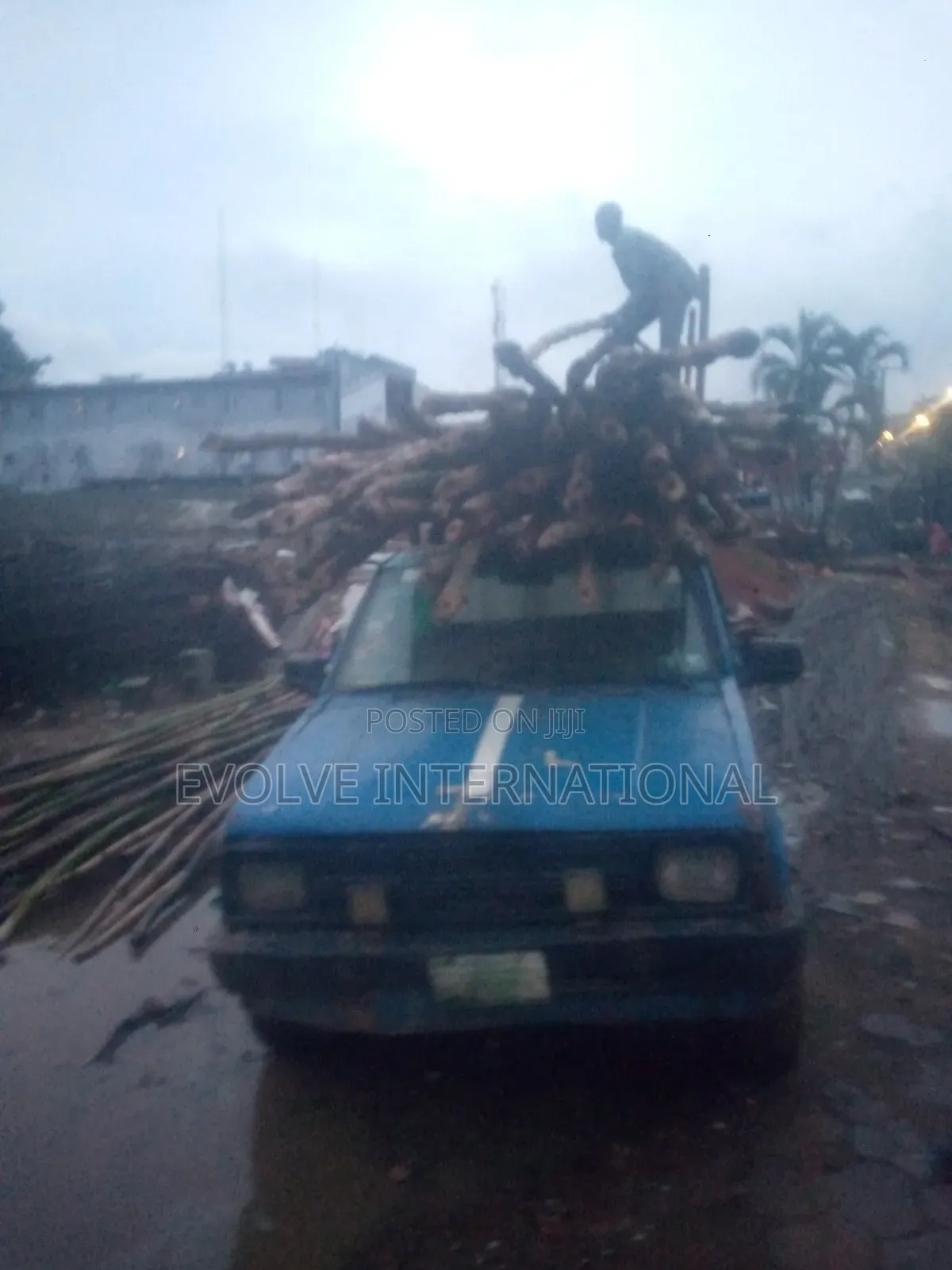 Bamboo Stick for Scaffolding and Decking