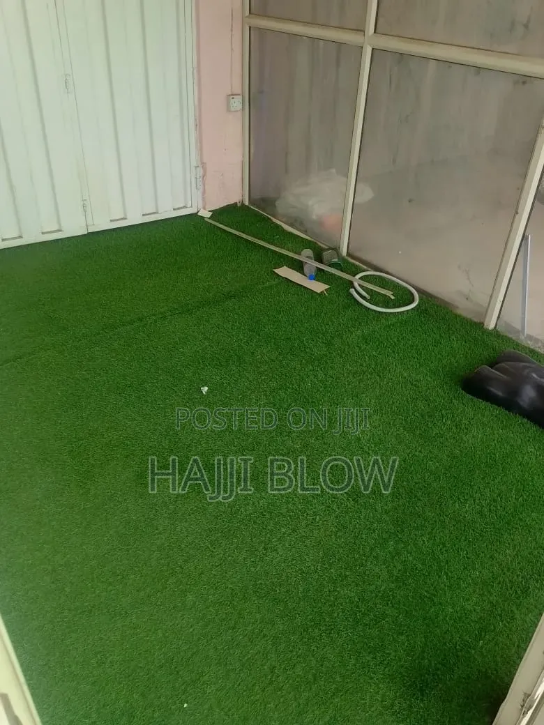 Big Carpet Grass