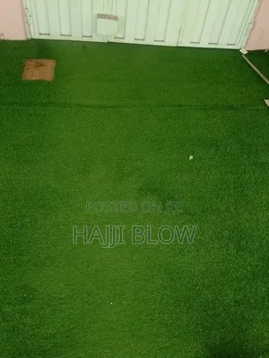 Big Carpet Grass