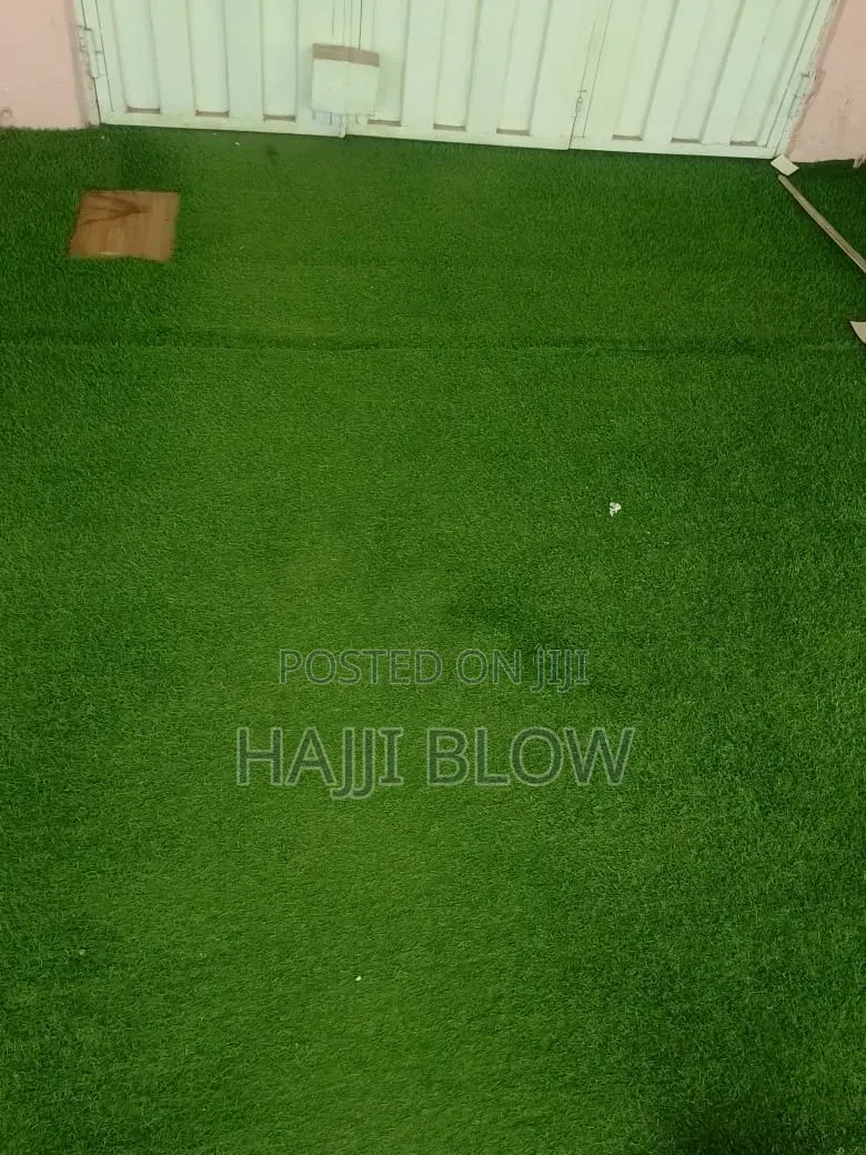 Big Carpet Grass