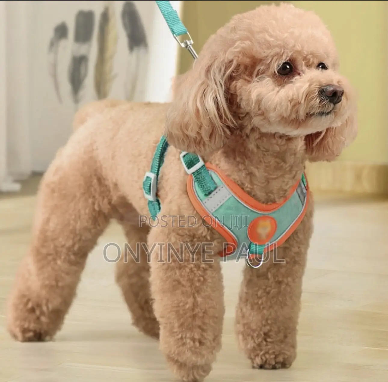 Vest Dog Traction Harness