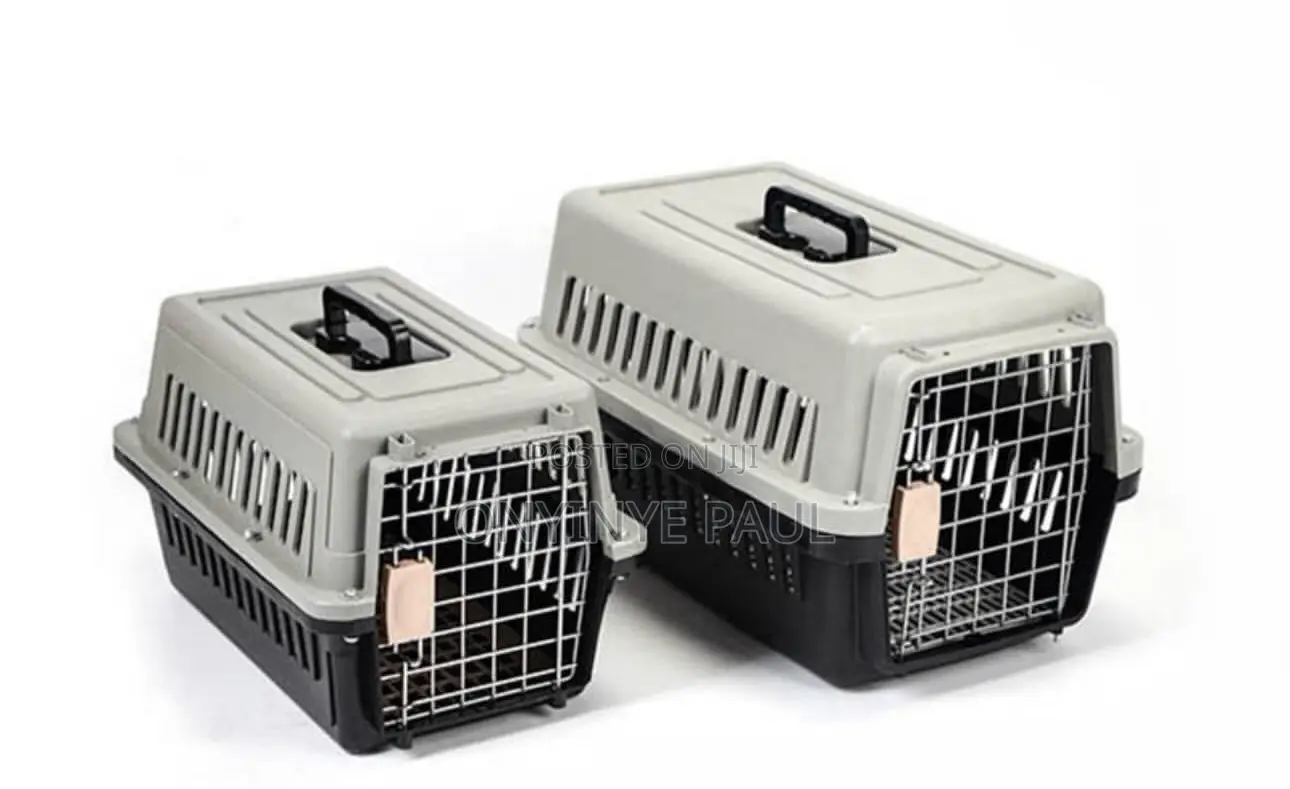 Pet Travel Carrier