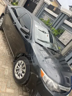 Car Rental