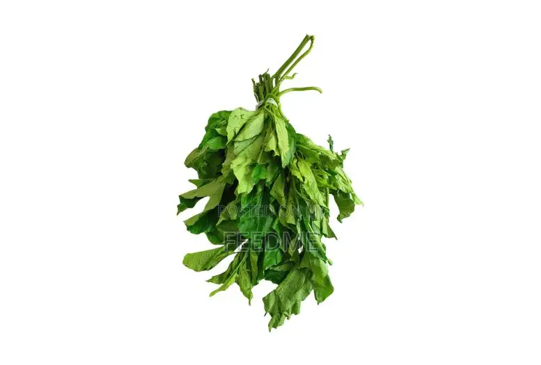 Fresh Ugu Leaves