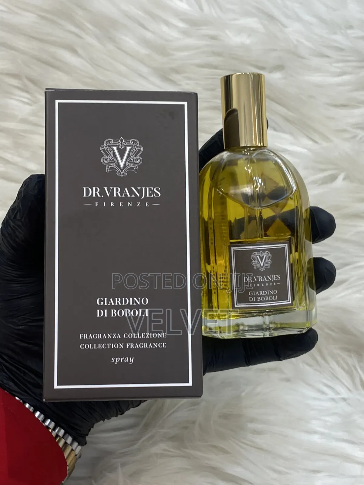 Dr Vranjes