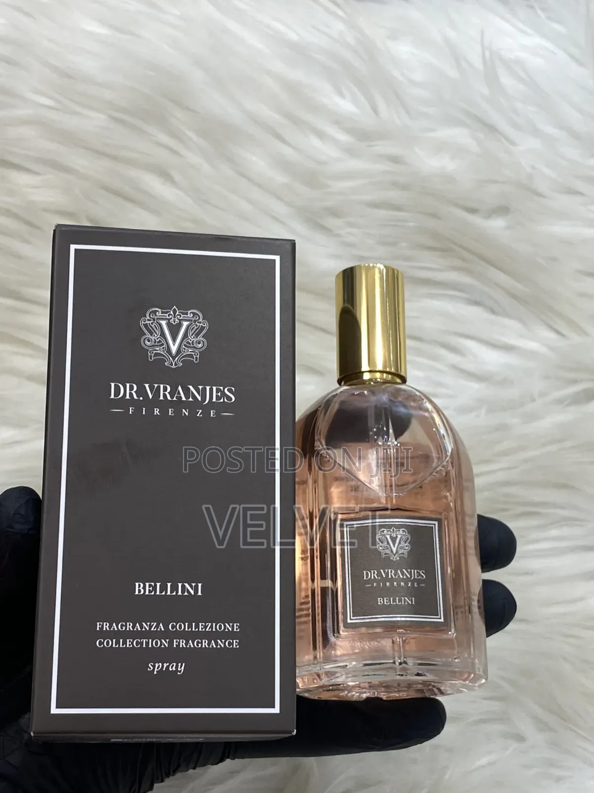 Dr Vranjes