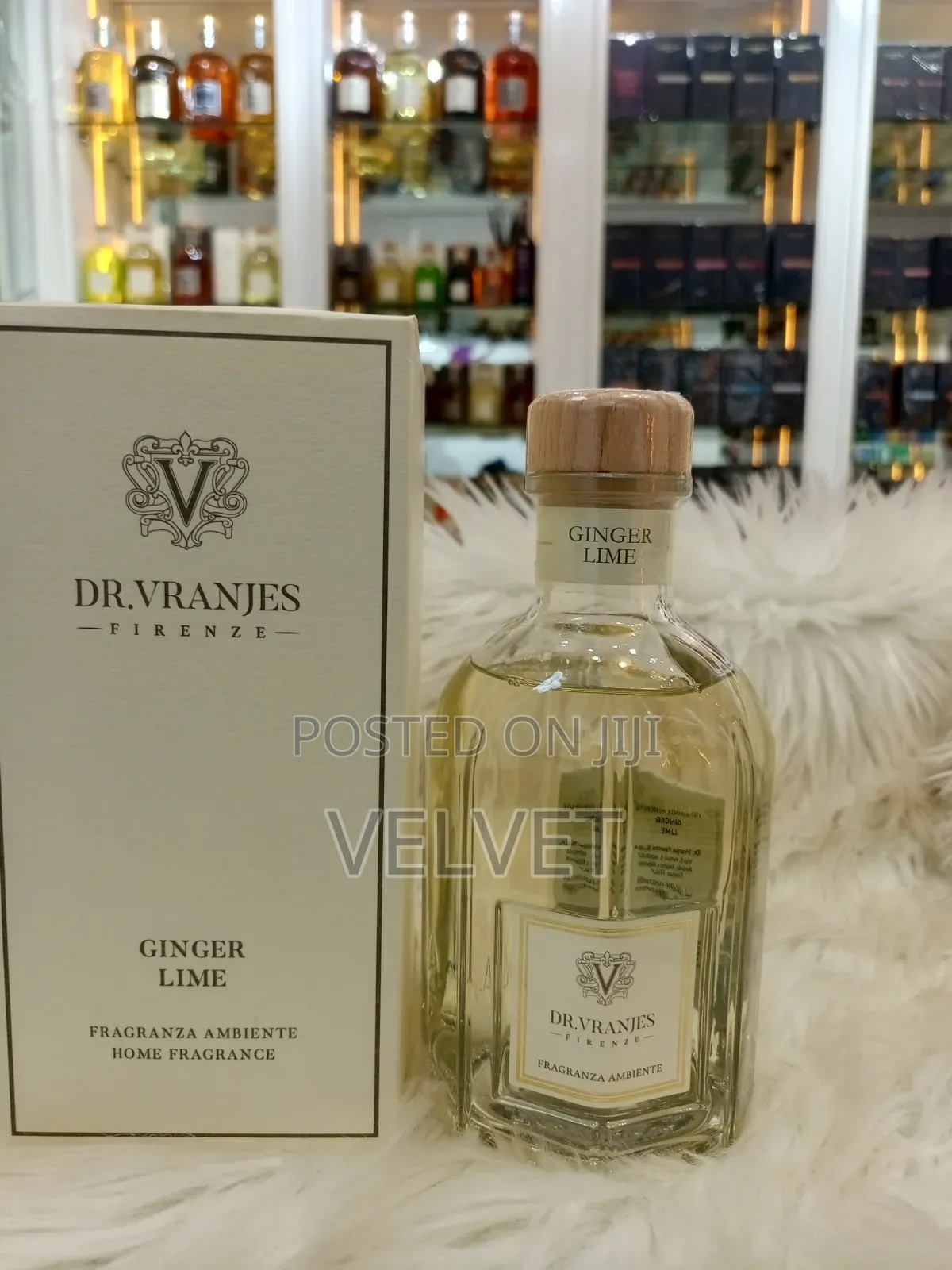 Dr Vranjes
