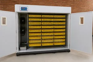 5000 Eggs Ac/Dc Automatic Incubator